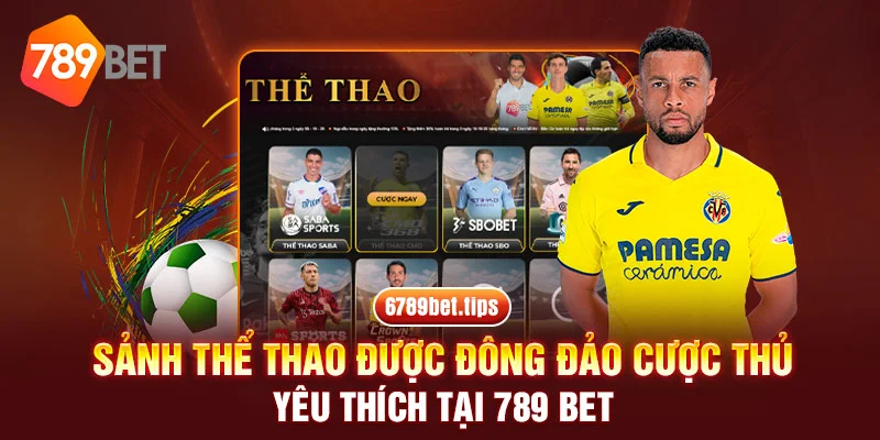 Cá độ thể thao esport trực tuyến hấp dẫn 