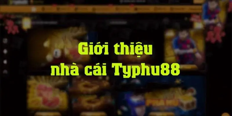 Tổng quan về nhà cái Typhu88